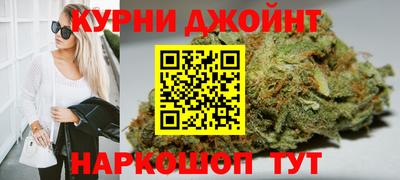 гашик Будённовск
