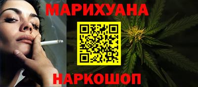гашик Будённовск