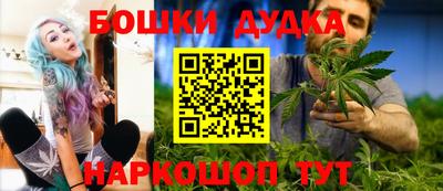 гашик Будённовск