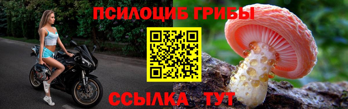 Видное  Псилоцибиновые грибы GOLDEN TEACHER  Вход с VPN 