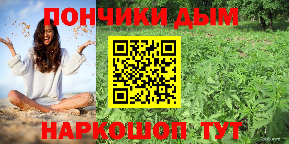 Шишки марихуана сатива Видное